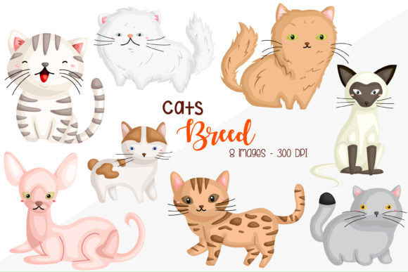 Cat Breed Clipart for Embroidery Projects