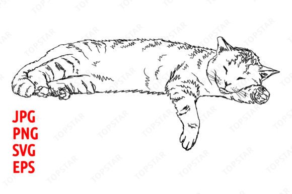 Sleeping Cat Illustration Clipart Review